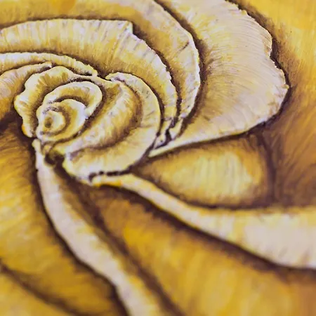 Blumen-villa מלון 3*