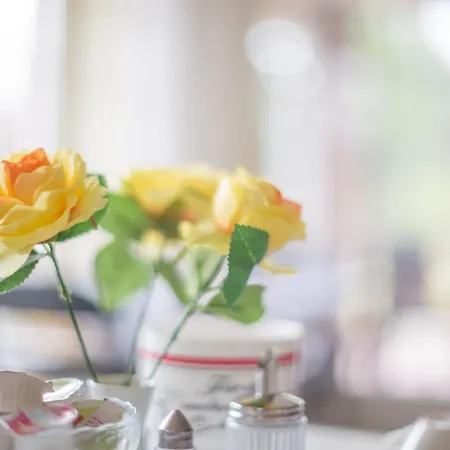 Blumen-villa מלון שנברדינגן