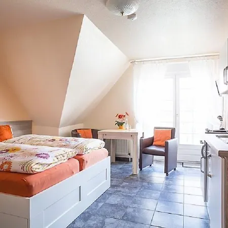 מלון Blumen-villa שנברדינגן