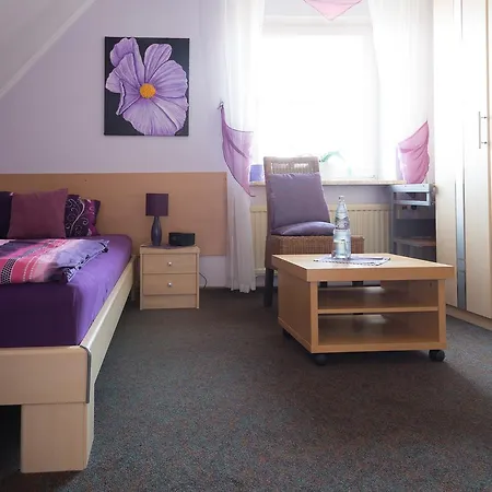 Blumen-villa Guest house 3*