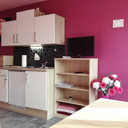 Blumen-villa Guest house 3*