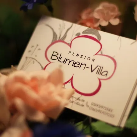 Blumen-villa Guest house 3*