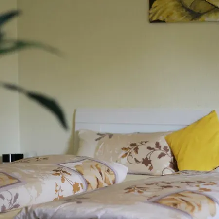 Blumen-villa 3* שנברדינגן