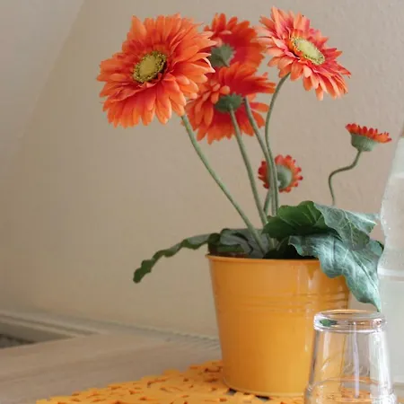 Blumen-villa