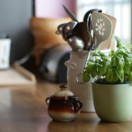 Blumen-villa 3* שנברדינגן